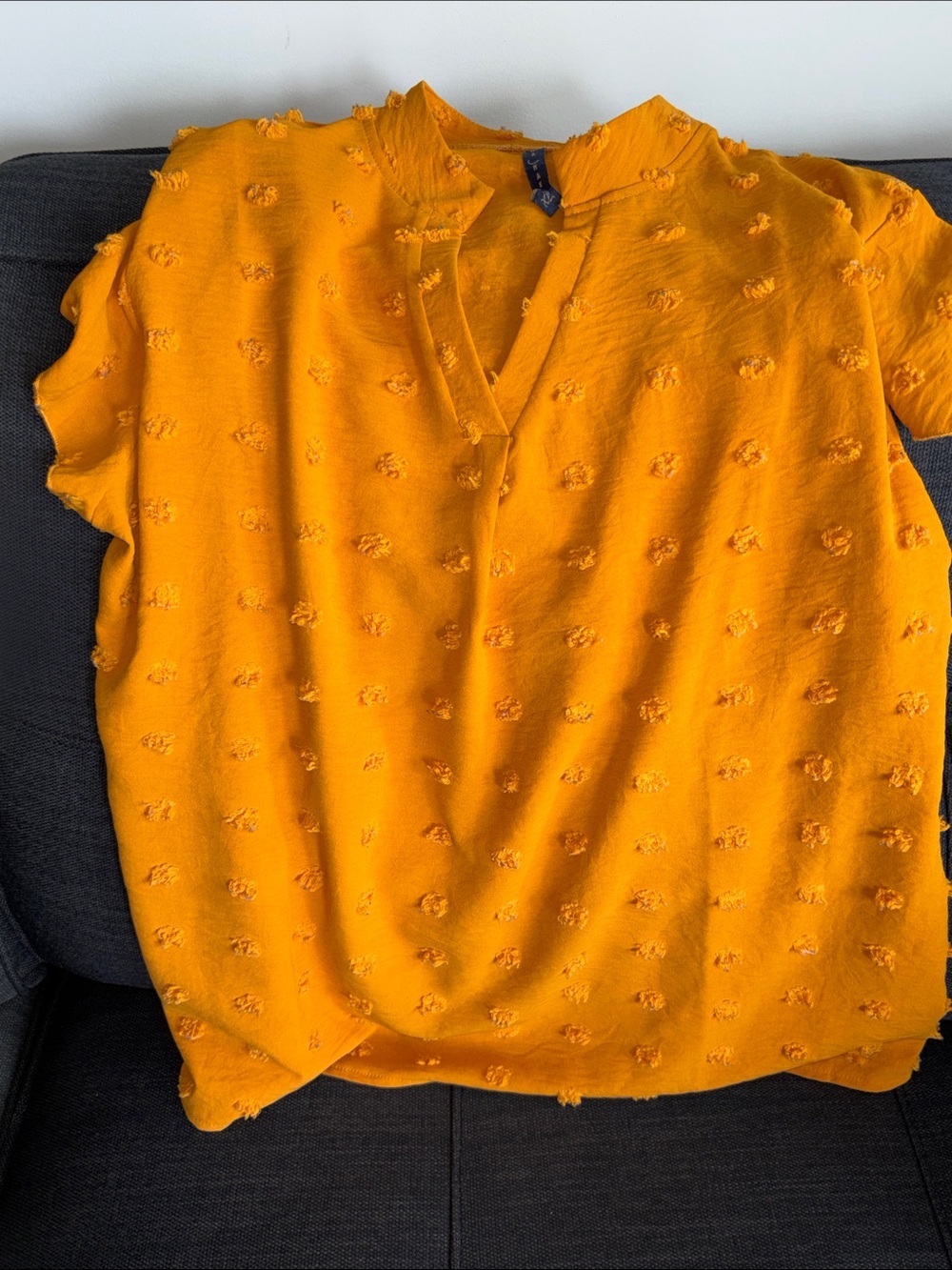 Women’s Textured Mustard V-Neck Flutter Sleeve Blouse